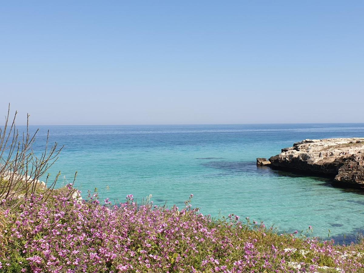 Apartament Casa Di Nonna Maria Monopoli Zewnętrze zdjęcie